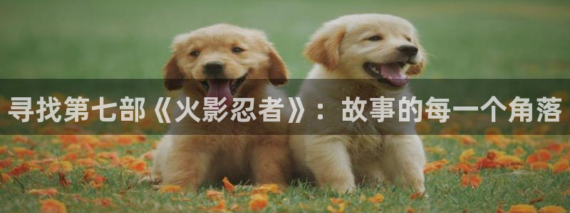 喵趣,漫画：寻找第七部《火影忍者》：故事的每一个角落