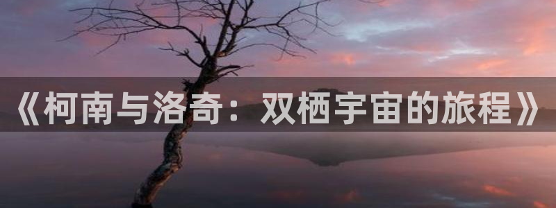 萌趣漫画：《柯南与洛奇：双栖宇宙的旅程》