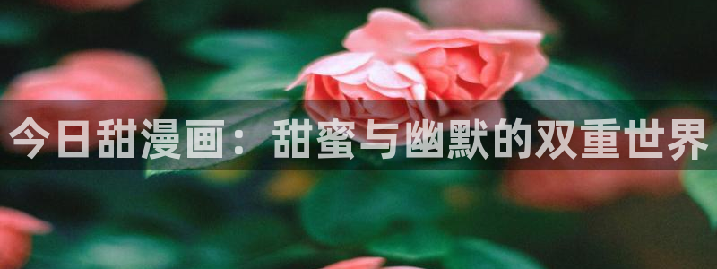喵趣漫画为什么看不了了